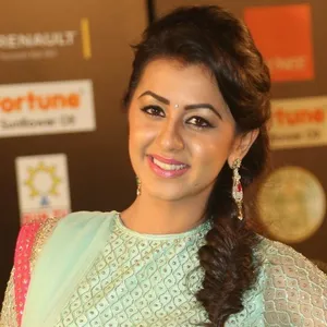 Nikki Galrani Pinisetty
